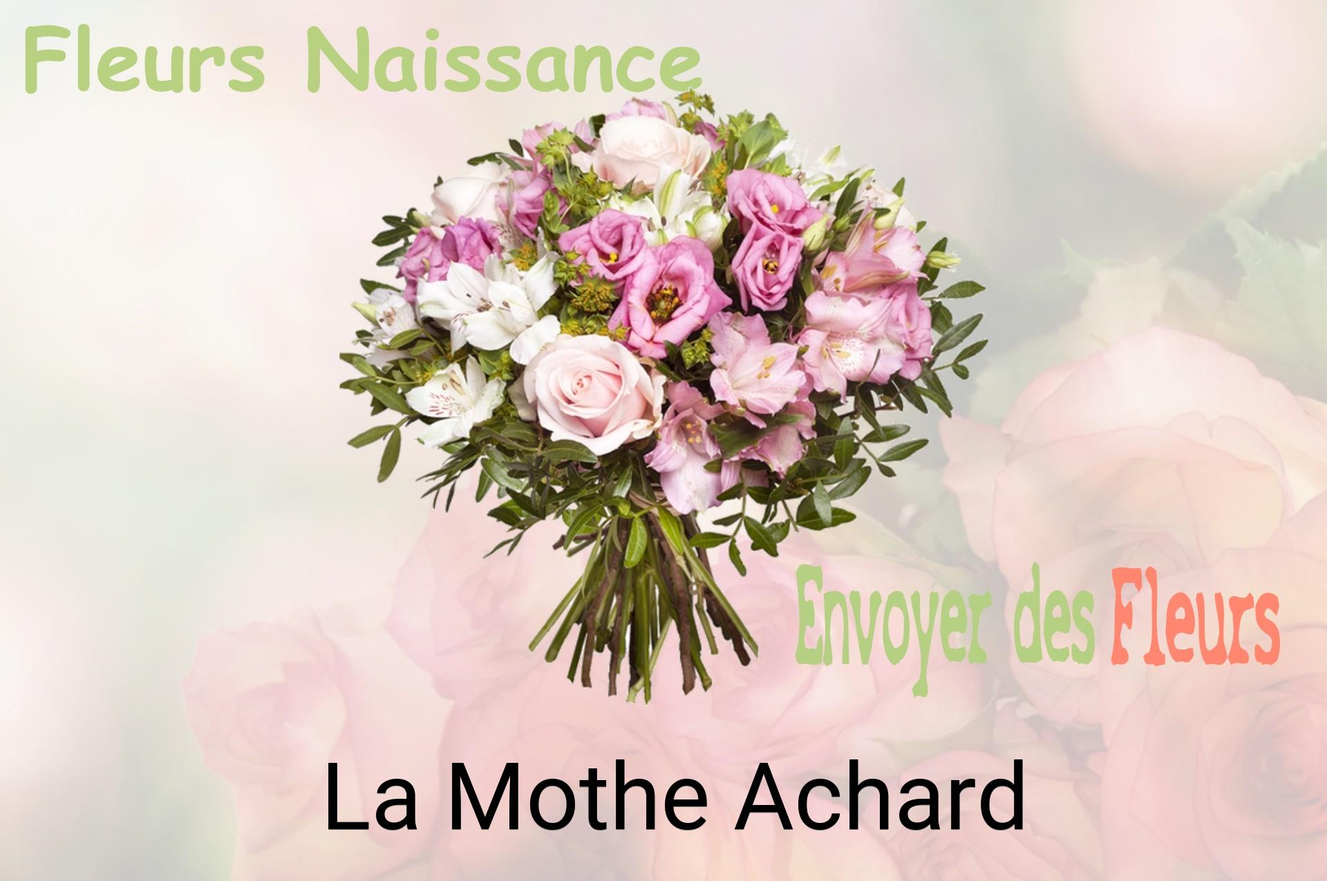 Bouquet de fleurs de naissance livré à La Mothe-Achard
